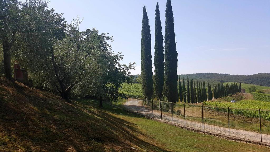 Holiday House Le Selvole Radda in Chianti Kültér fotó