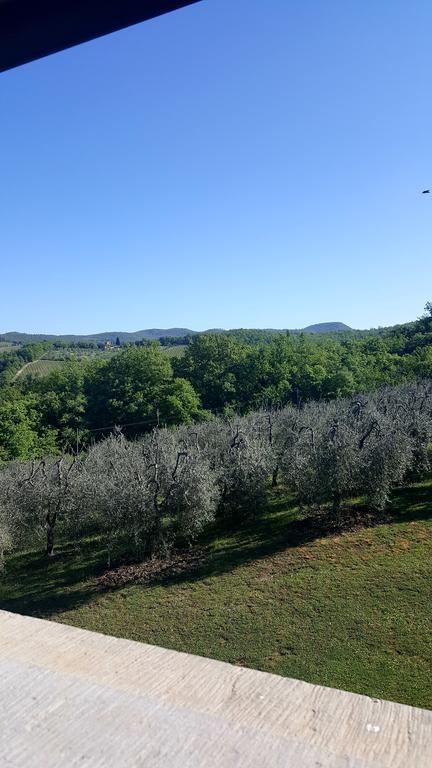 Holiday House Le Selvole Radda in Chianti Kültér fotó