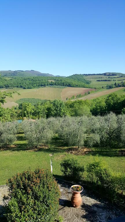 Holiday House Le Selvole Radda in Chianti Kültér fotó