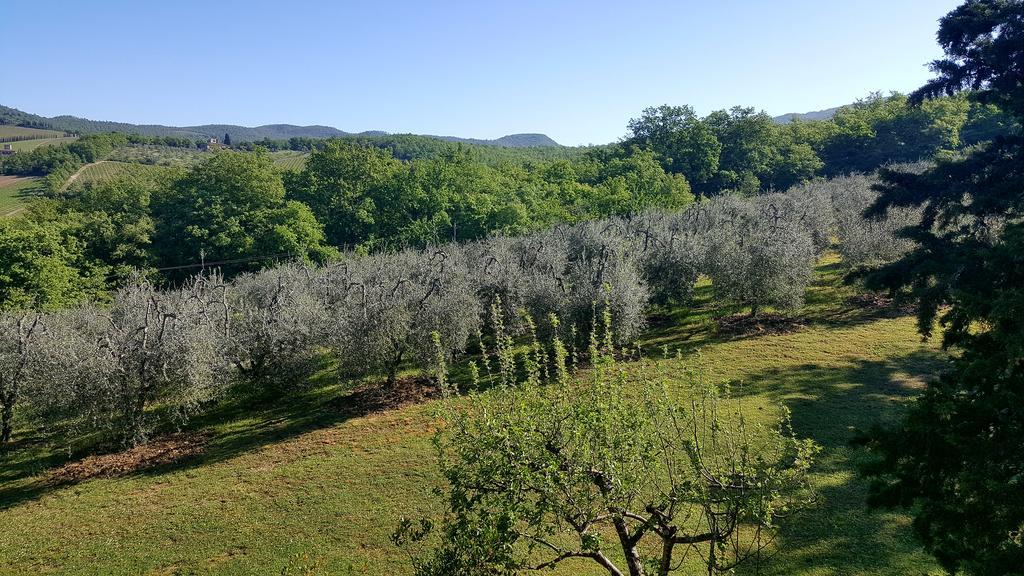 Holiday House Le Selvole Radda in Chianti Kültér fotó